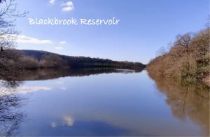 BlackBrook